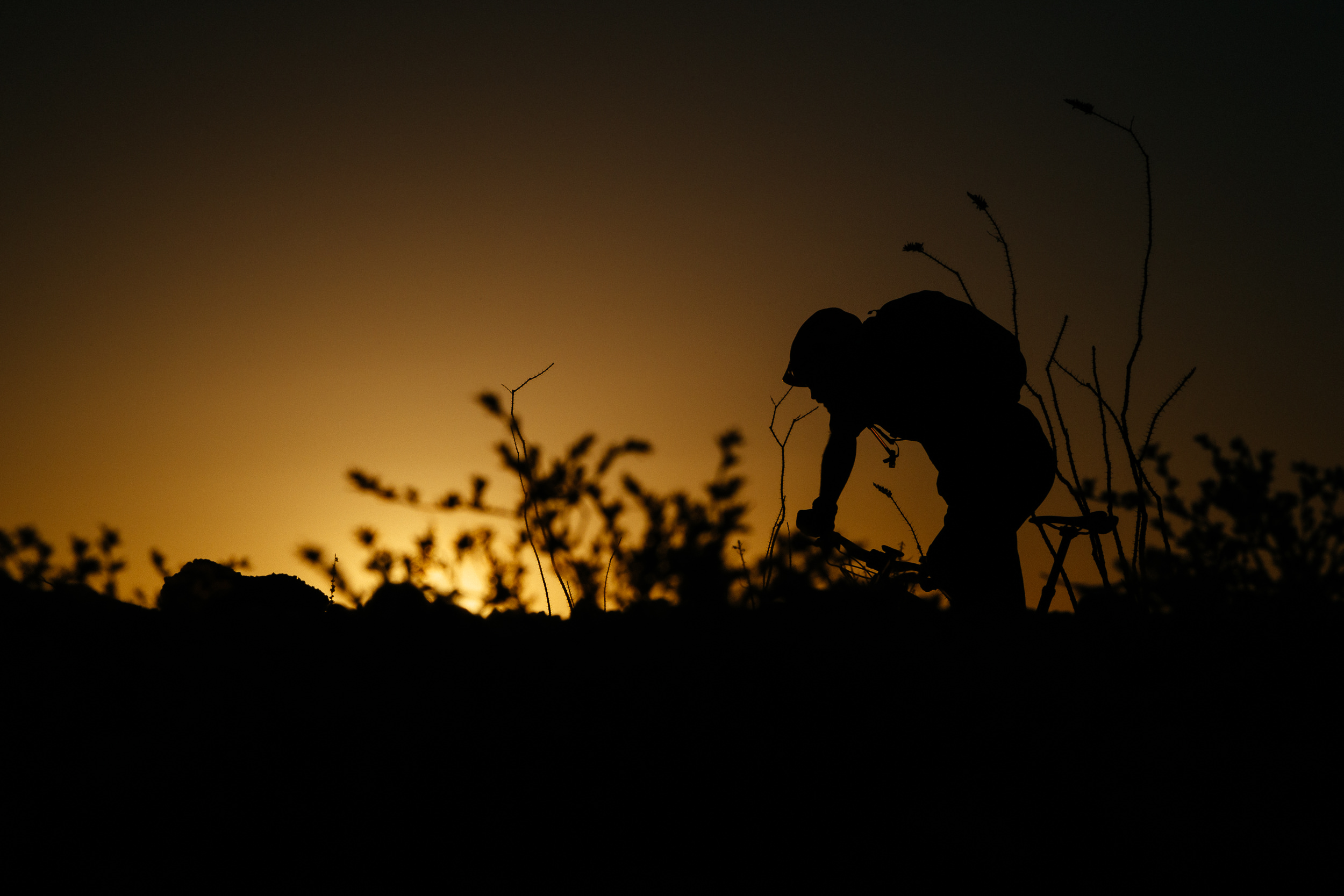 mountainbiking-terlinguas-texas-2636-21.jpg